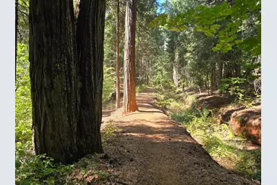 0 Blair Road, Pollock Pines, CA 95726 - Photo 6