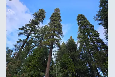 0 Blair Road, Pollock Pines, CA 95726 - Photo 16