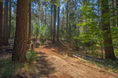 0 Blair Road, Pollock Pines, CA 95726 - Photo 14