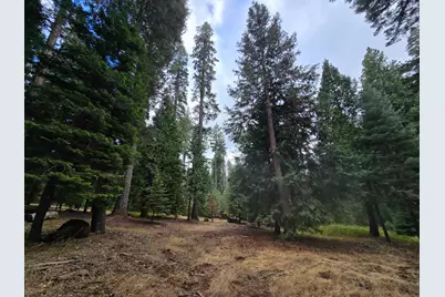 0 Blair Road, Pollock Pines, CA 95726 - Photo 8