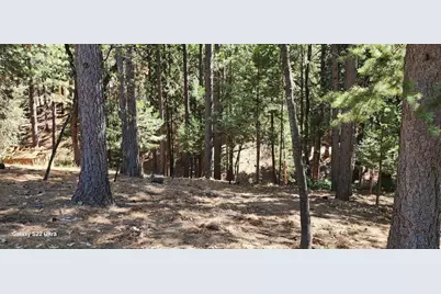 5701 Lupin Lane, Pollock Pines, CA 95726 - Photo 2