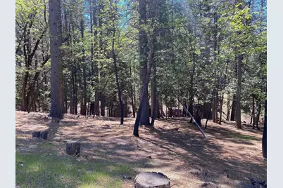 5701 Lupin Lane, Pollock Pines, CA 95726 - Photo 18