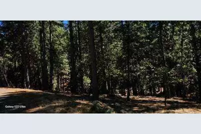 5701 Lupin Lane, Pollock Pines, CA 95726 - Photo 8