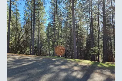 5701 Lupin Lane, Pollock Pines, CA 95726 - Photo 24