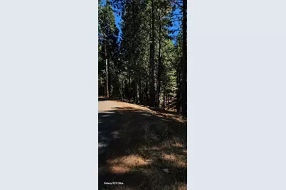5701 Lupin Lane, Pollock Pines, CA 95726 - Photo 4