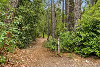 Marysville Road #17, Camptonville, CA 95922 - Photo 40