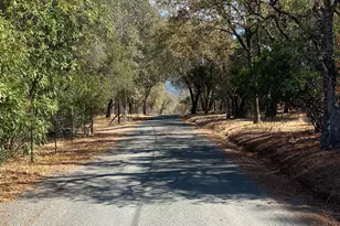 5541 High Sierra Rd, Pilot Hill, CA 95664 - Photo 40