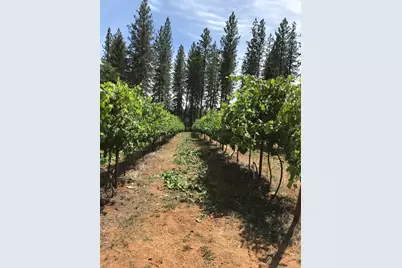 14792 Wabash Avenue, Grass Valley, CA 95945 - Photo 12