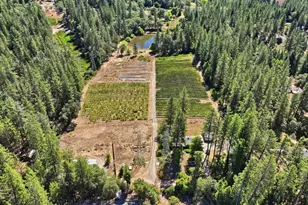 14792 Wabash Ave, Grass Valley, CA 95945 - Photo 40