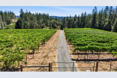 14792 Wabash Avenue, Grass Valley, CA 95945 - Photo 10