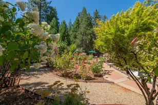25985 Forest Knoll Ct, Pioneer, CA 95666 - Photo 76