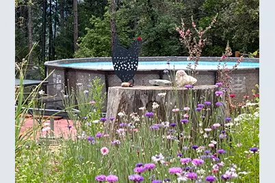 14381 Marysville Road, Camptonville, CA 95922 - Photo 26