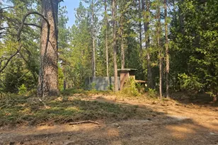 1712 Ridge Rd, Mokelumne Hill, CA 95245 - Photo 62