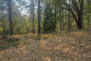 1712 Ridge Rd, Mokelumne Hill, CA 95245 - Photo 64