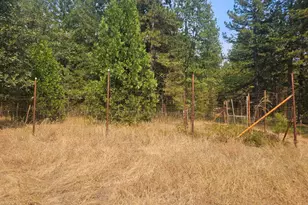 1712 Ridge Rd, Mokelumne Hill, CA 95245 - Photo 12