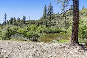 1451 Dog Bar Rd, Colfax, CA 95713 - Photo 60