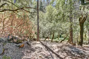 1900 Peaceful Valley Rd, Colfax, CA 95713 - Photo 32