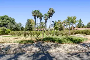 3303 Pope Ave, Sacramento, CA 95821 - Photo 64