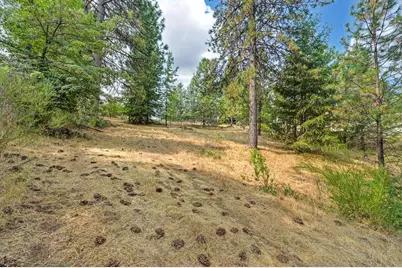 19707 Wedemeyer Place, Colfax, CA 95713 - Photo 52