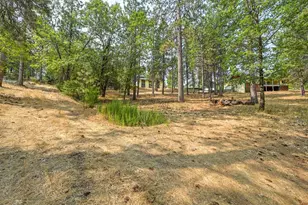 19707 Wedemeyer Pl, Colfax, CA 95713 - Photo 56