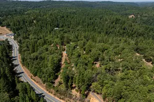 22161 State Hwy 88, Pine Grove, CA 95665 - Photo 62