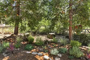 13725 Peardale Rd, Grass Valley, CA 95945 - Photo 42