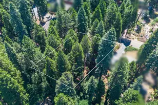 Marjorie Way, Pollock Pines, CA 95726 - Photo 26