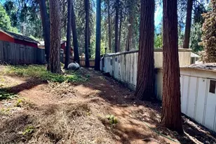 Marjorie Way, Pollock Pines, CA 95726 - Photo 14