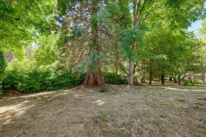 530 Nevada Street, Nevada City, CA 95959 - Photo 58
