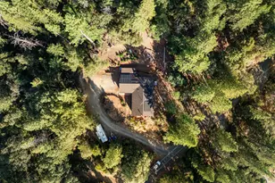 6561 Highgrade Ct, Placerville, CA 95667 - Photo 60