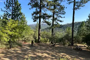 5883 Black Quartz Rd, Murphys, CA 95247 - Photo 4