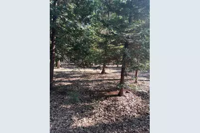 5667 Maywood Drive, Foresthill, CA 95631 - Photo 2