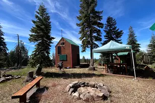 60 Liberty Rd, Dorrington, CA 95223 - Photo 16