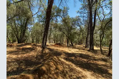 3288 Eastview Drive, Shingle Springs, CA 95682 - Photo 42