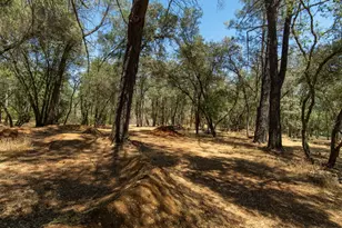 3288 Eastview Dr, Shingle Springs, CA 95682 - Photo 42