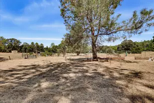 17616 Pioneer Way, Rough and Ready, CA 95975 - Photo 74
