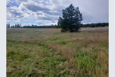 10 Braeburn Lane, Placerville, CA 95667 - Photo 2