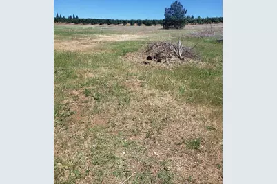 10 Braeburn Lane, Placerville, CA 95667 - Photo 4