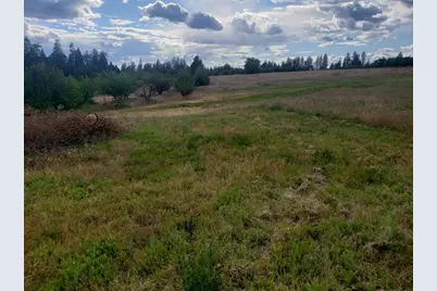 10 Braeburn Lane, Placerville, CA 95667 - Photo 1