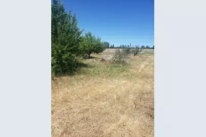 10 Braeburn Lane, Placerville, CA 95667 - Photo 6