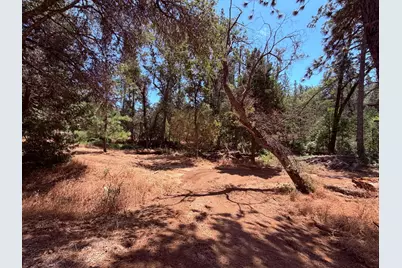 7836 Mount Aukum Road, Somerset, CA 95684 - Photo 10