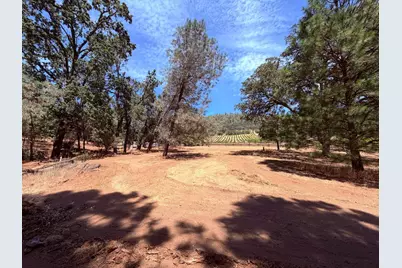 7836 Mount Aukum Road, Somerset, CA 95684 - Photo 14
