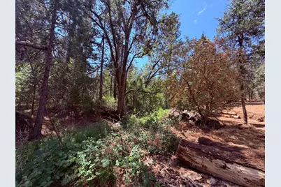 7836 Mount Aukum Road, Somerset, CA 95684 - Photo 12