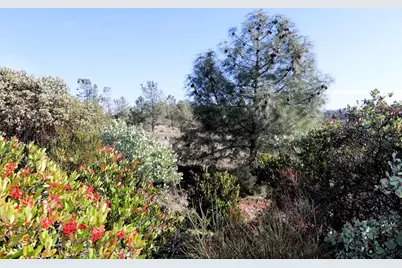 0 Product Drive, Shingle Springs, CA 95682 - Photo 18