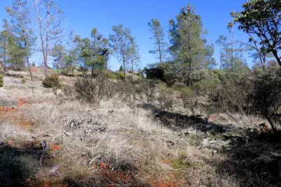 0 Product Drive, Shingle Springs, CA 95682 - Photo 46
