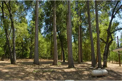 20131 Shake Ridge Road, Volcano, CA 95689 - Photo 30