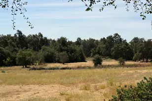 3945 Dawn Dr, Loomis, CA 95650 - Photo 64