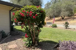 3945 Dawn Dr, Loomis, CA 95650 - Photo 4