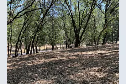 33 Nugget Drive, Foresthill, CA 95631 - Photo 10