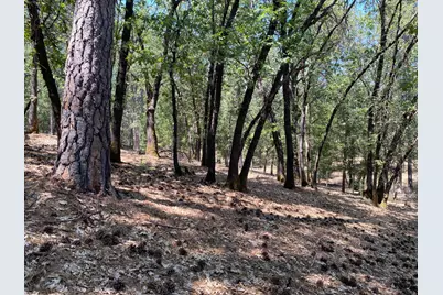 33 Nugget Drive, Foresthill, CA 95631 - Photo 8